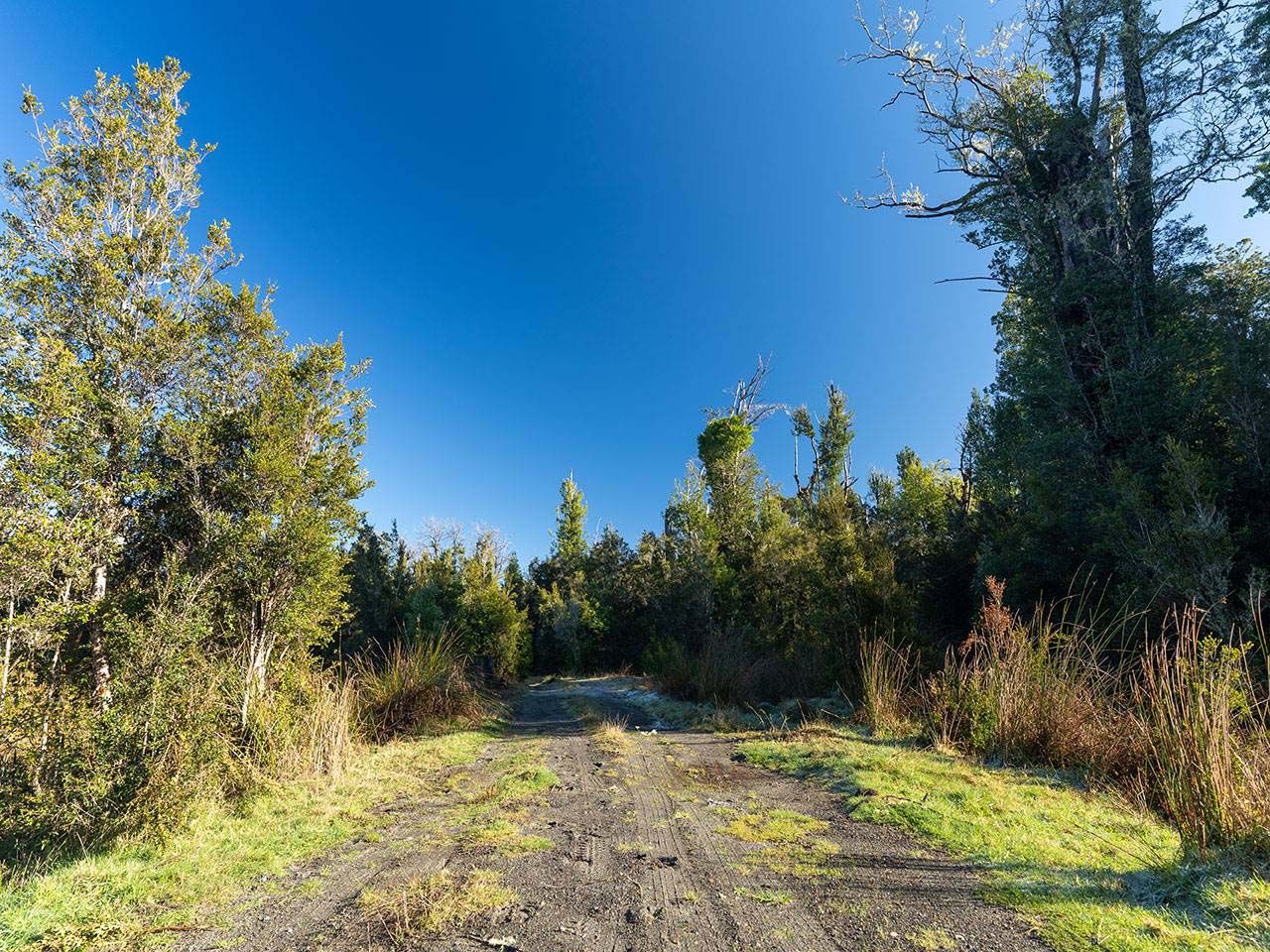 Potrero Diaz, Parcela 36 - Imagen 7