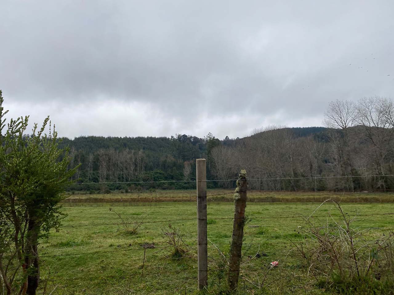 Quitacalzón Lote 1-A - Imagen 4