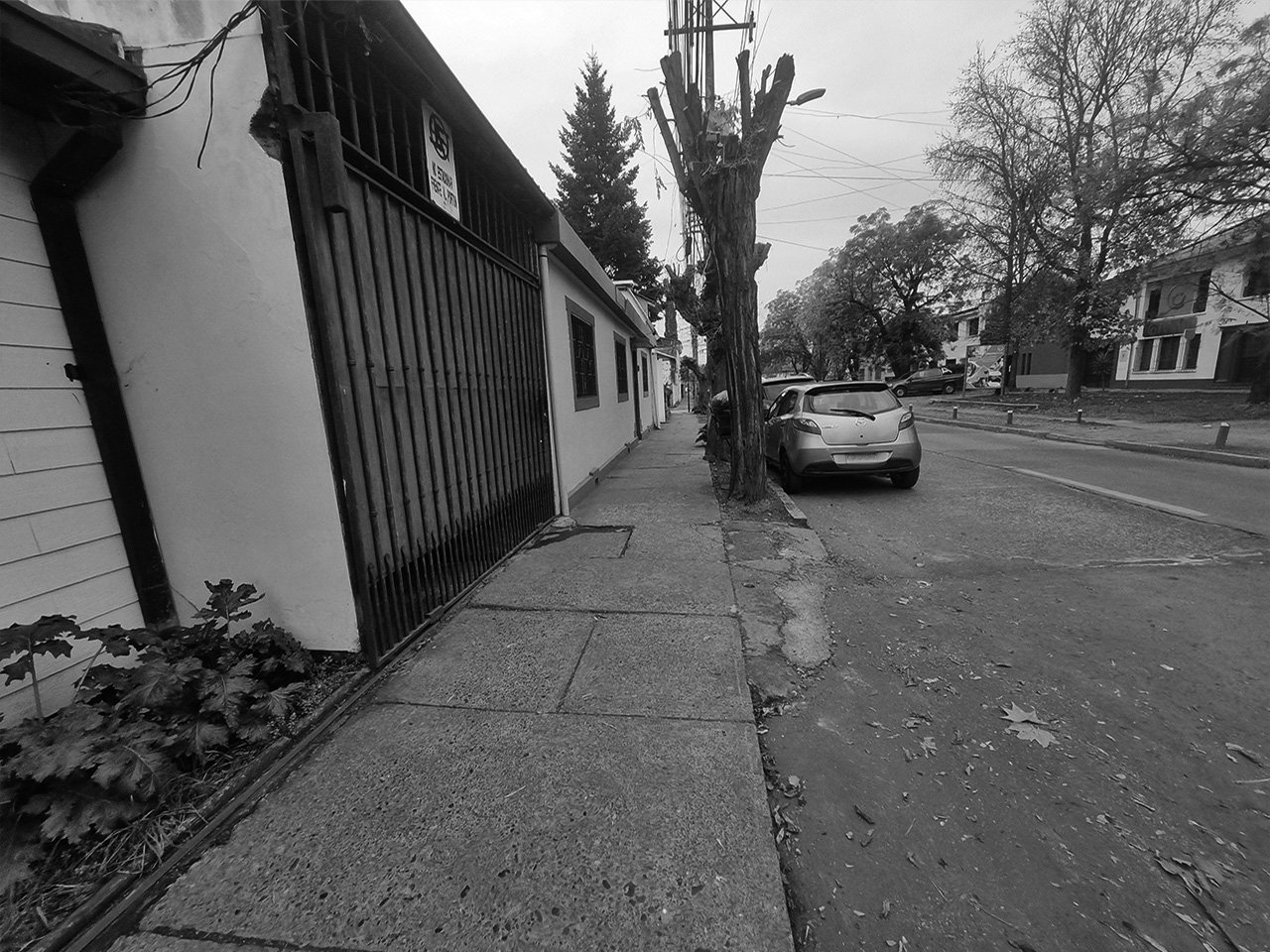 1 Poniente 1627 - Imagen 5
