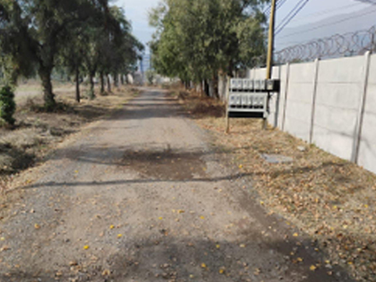 Amanecer Campesino, Parcela 20. Lote 2 - Imagen 3