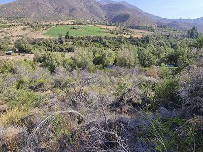 Fundo San Francisco de Los Andes , Parcela 89