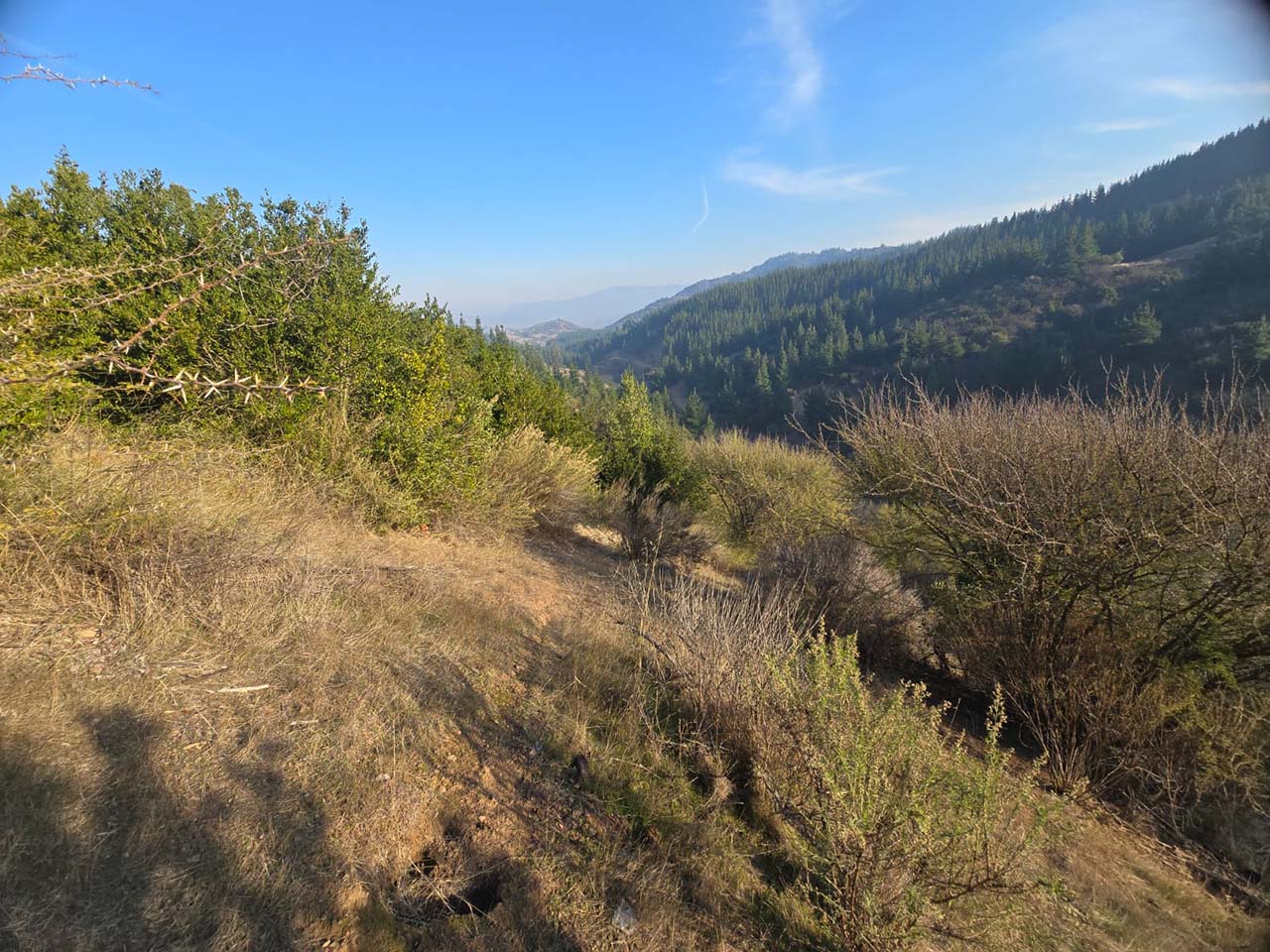 La Lajuela, Lote o, Parcela 152