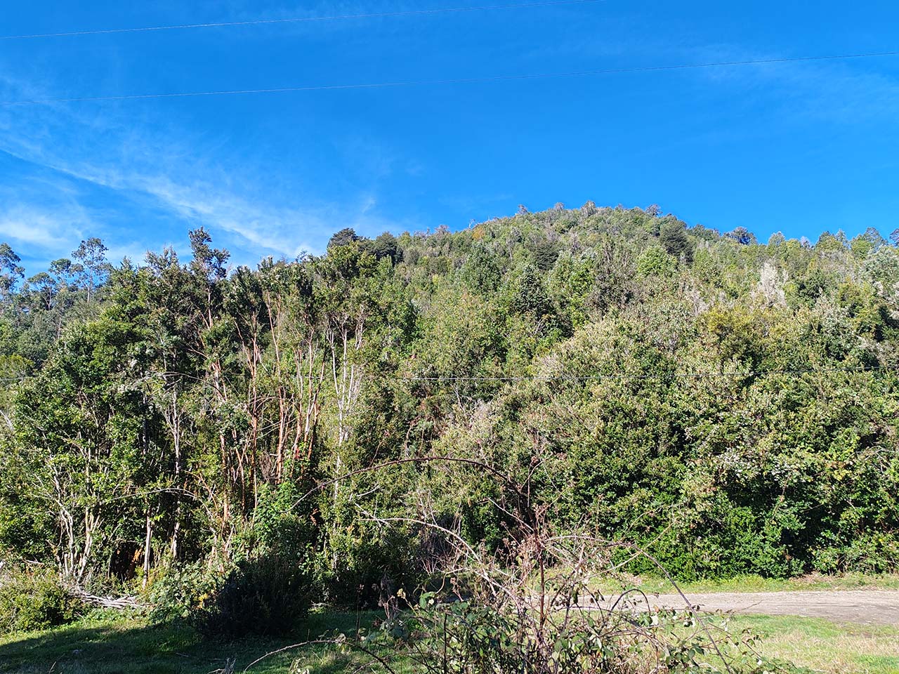 Coihuería Hijuela 11, Lote B. - Imagen 1