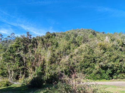 Coihuería Hijuela 11, Lote B.
