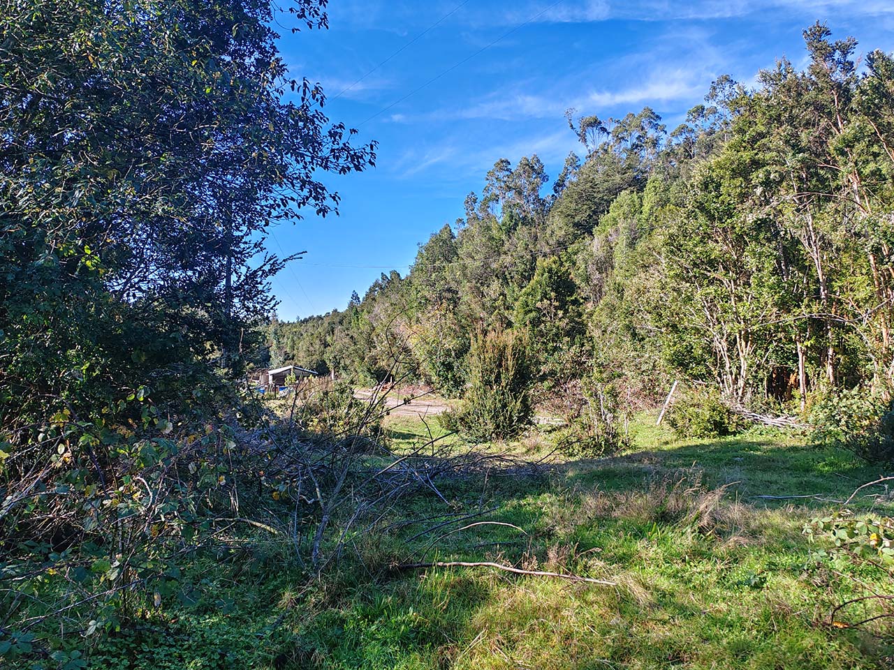 Coihuería Hijuela 11, Lote B. - Imagen 2