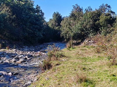 Coihuería Hijuela 11, Lote B.