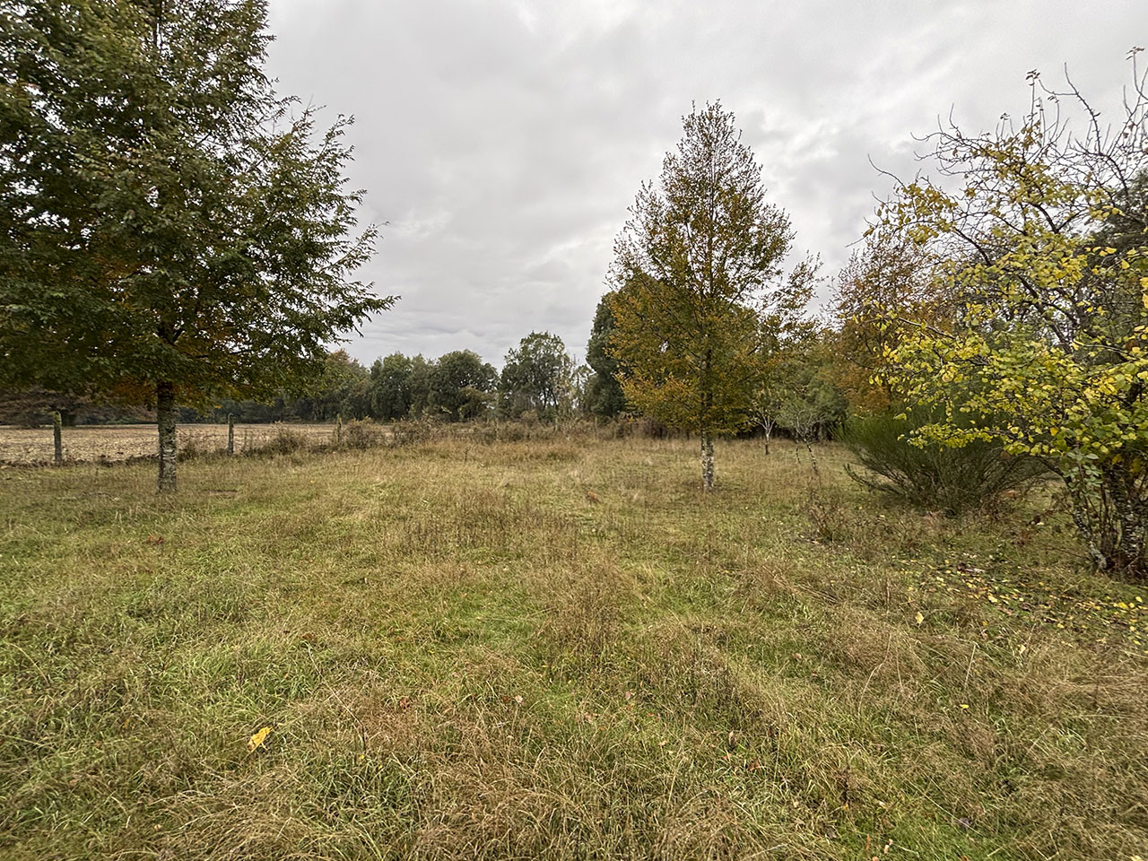 Ruta R-197, Lote Esperanza Santa Ana  - Imagen 17