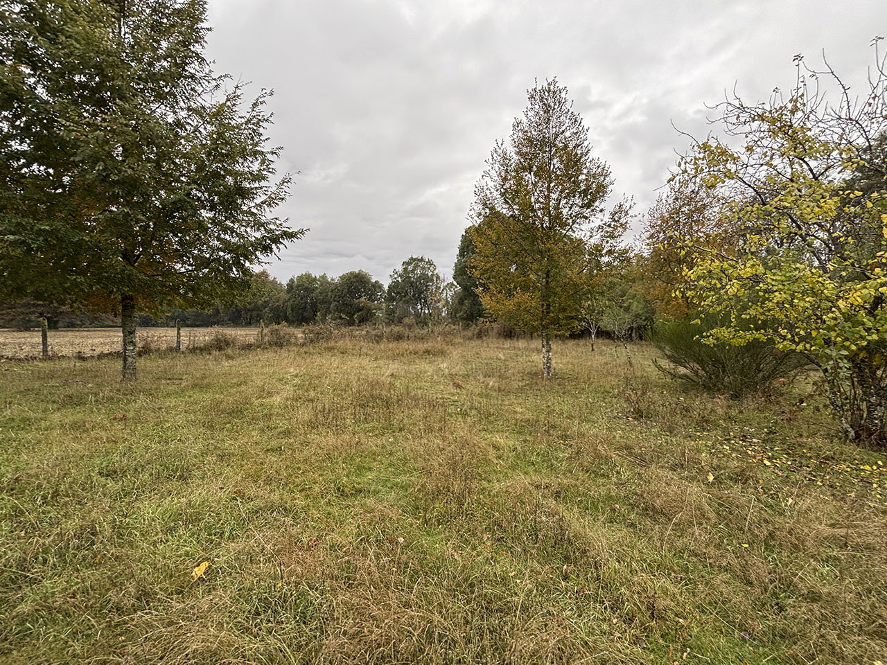 Ruta R-197, Lote Esperanza Santa Ana - Imagen 17