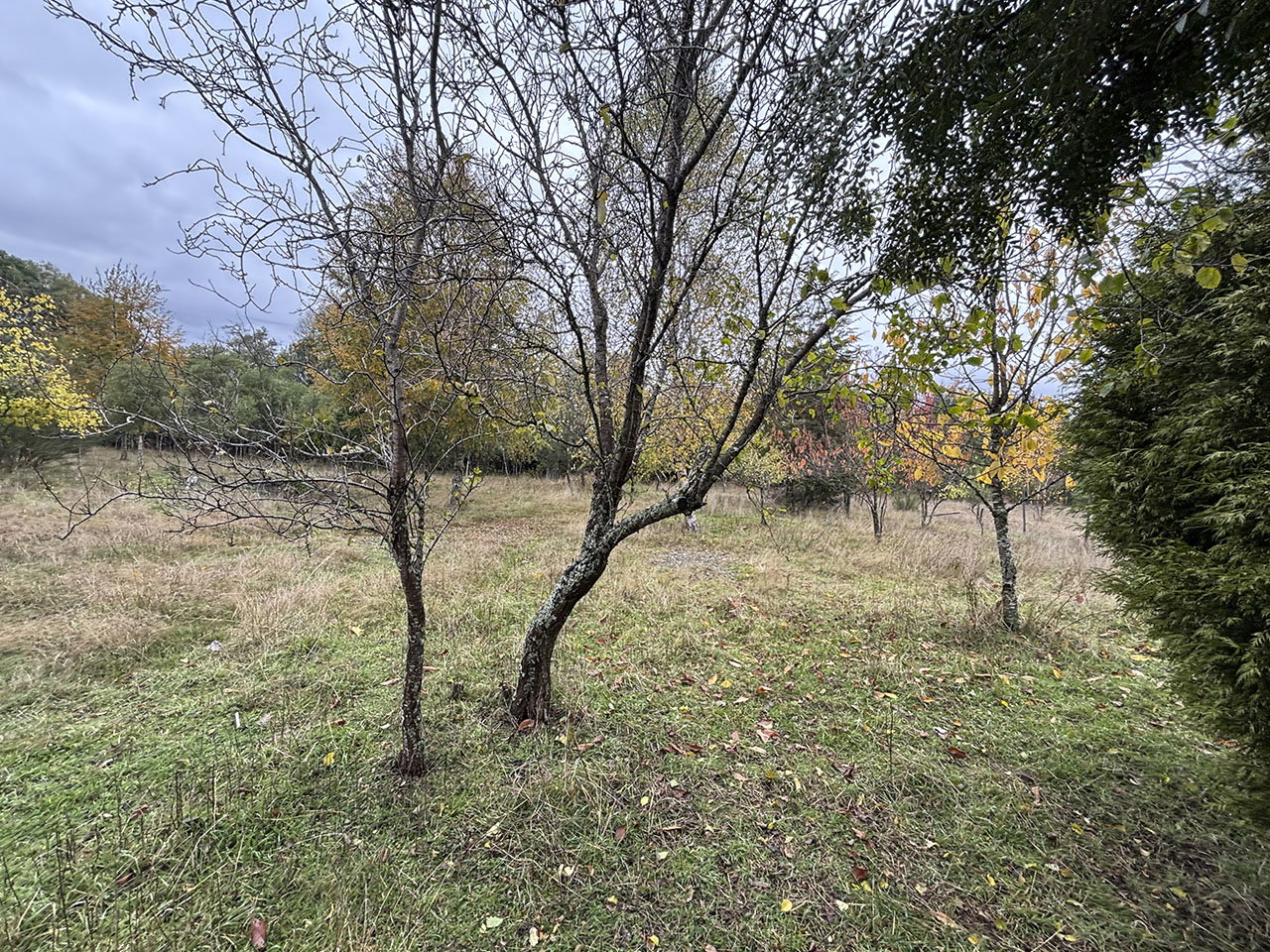 Ruta R-197, Lote Esperanza Santa Ana - Imagen 19