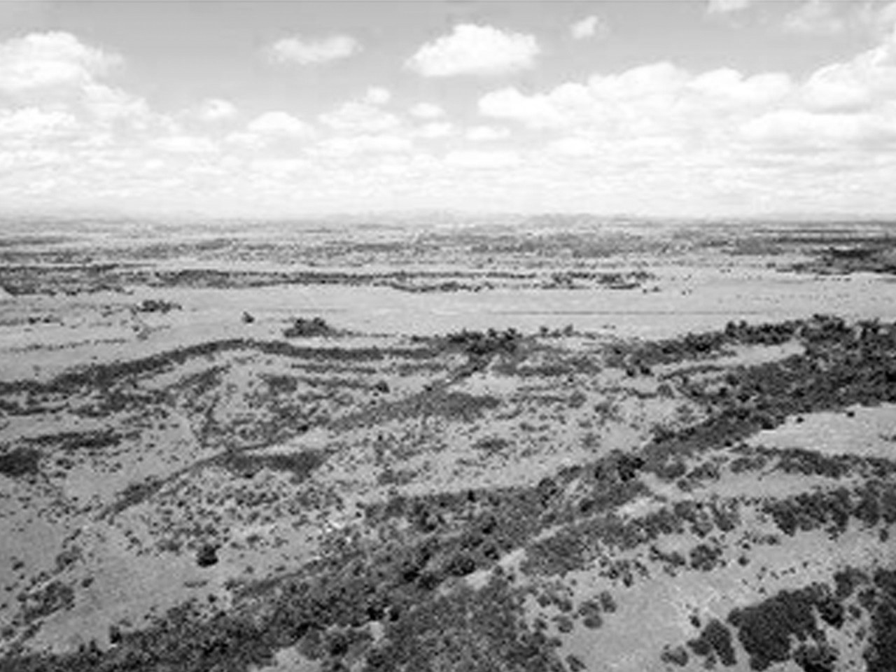 El Cuzco Lote L-19 (SUSPENDIDO) - Imagen 4