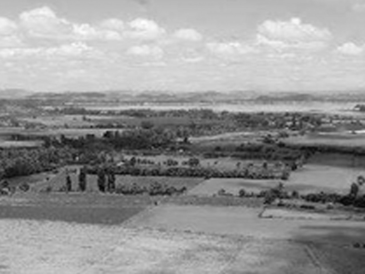 El Cuzco Lote L-19 (SUSPENDIDO) - Imagen 7