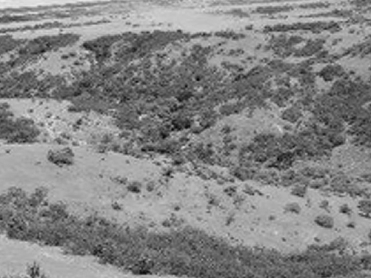 El Cuzco Lote L-19 (SUSPENDIDO) - Imagen 8