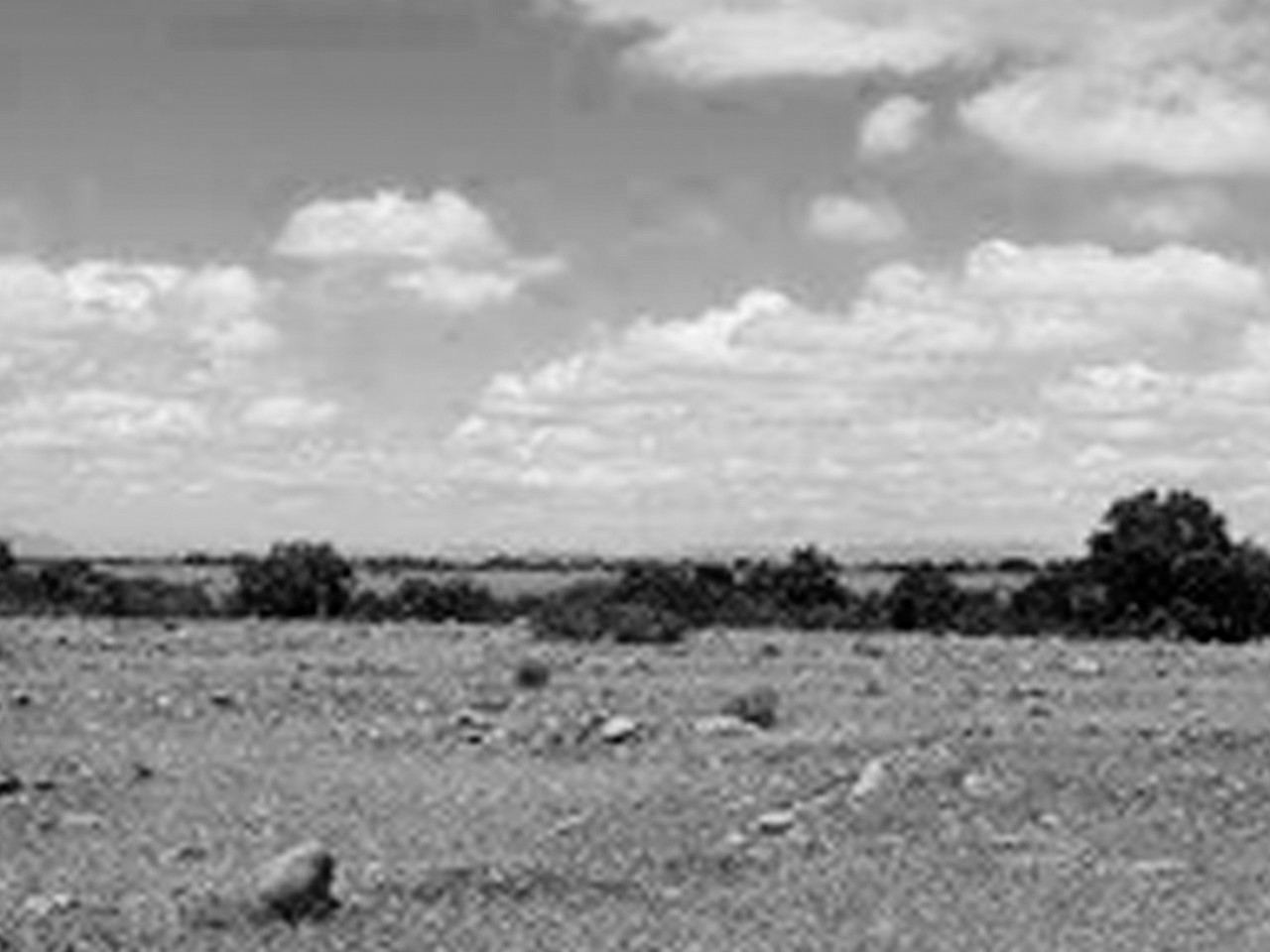 El Cuzco Lote L-19 (SUSPENDIDO) - Imagen 9