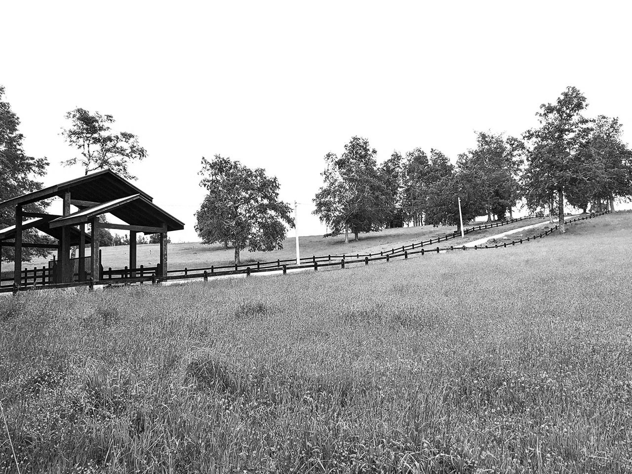 Parcela Lago Ranco, Nontuela, Hijuela 7 Lote H-5 - Imagen 5