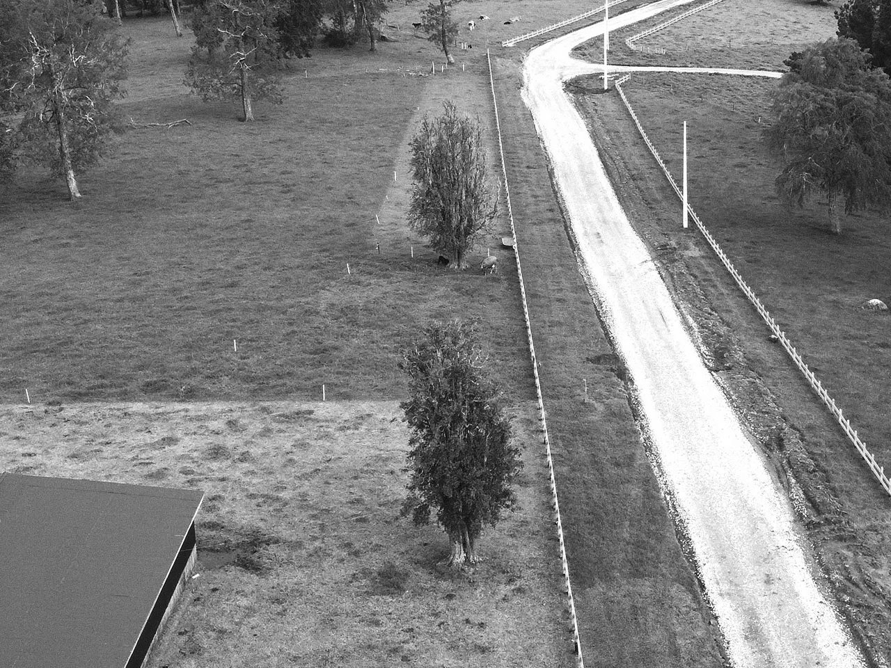 Parcela Lago Ranco, Nontuela, Hijuela 7 Lote H-5 - Imagen 6
