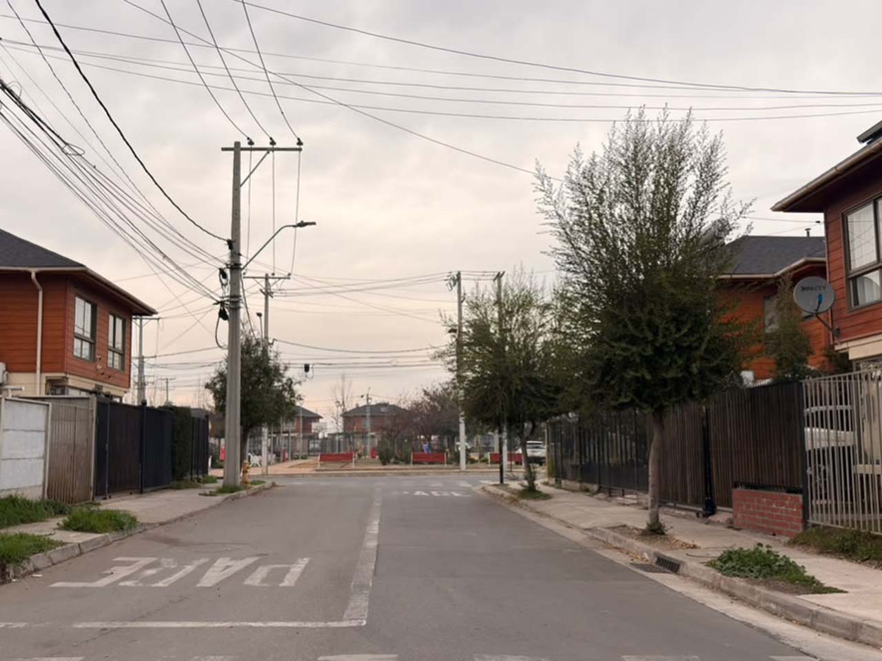 Lidia Pizarro Gamboa 955 - Imagen 7