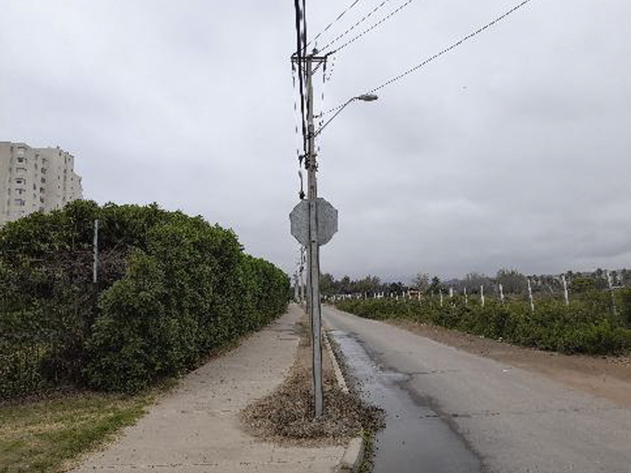 Av. Los Pescadores 3726, Depto. 104, Edif. IV - Imagen 8