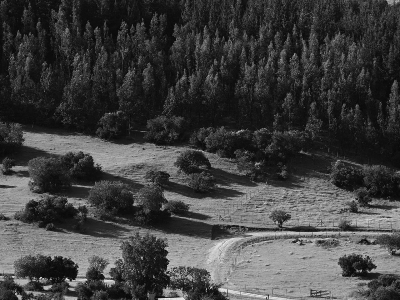 Hacienda Panamá, Parcela 30 - 59 (SUSPENDIDA) - Imagen 2