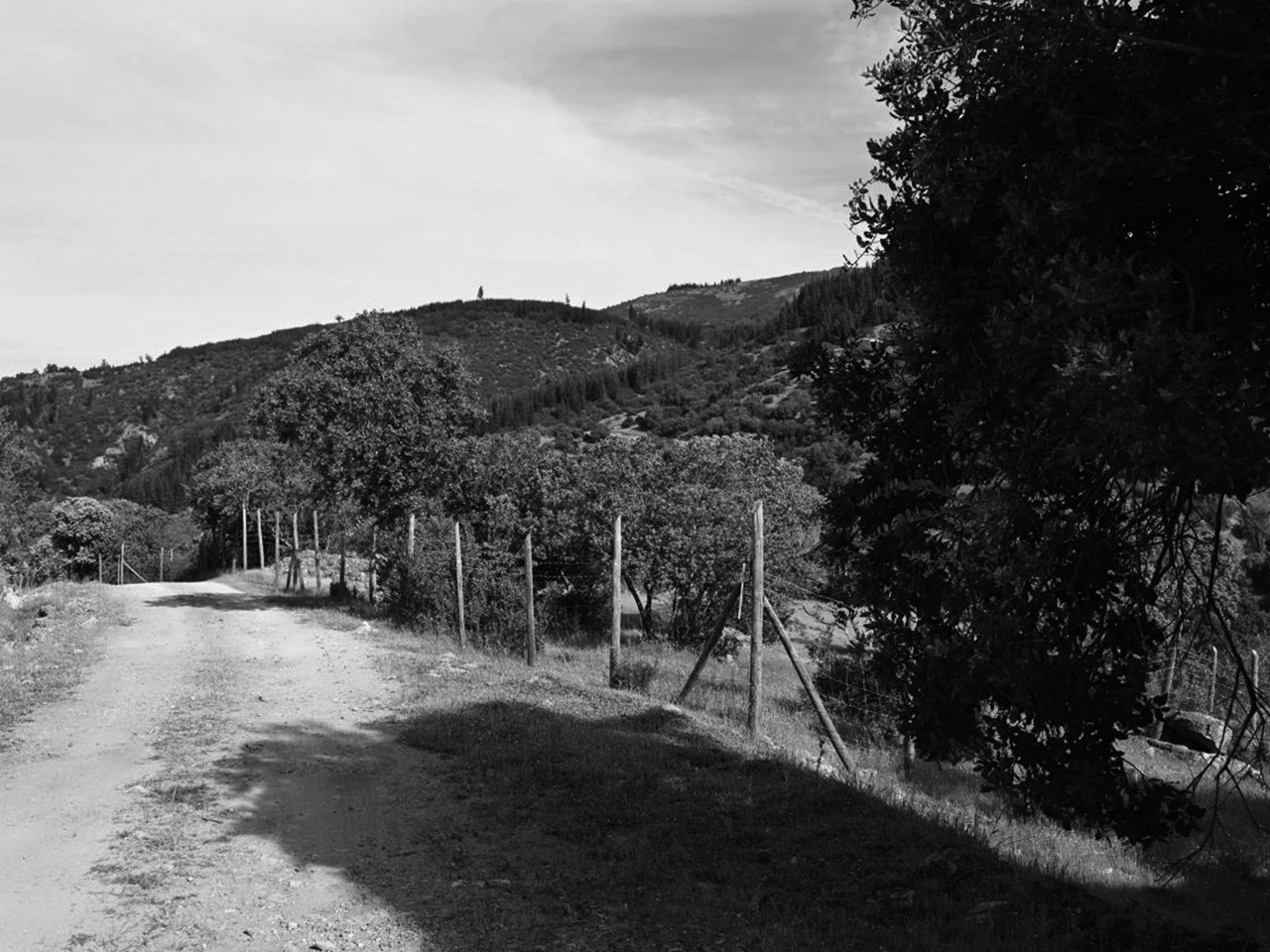 Hacienda Panamá, Parcela 30 - 59 (SUSPENDIDA) - Imagen 4