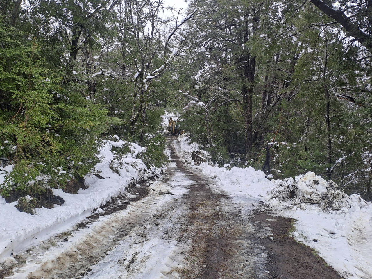 Los Nevados Volcan, Lote 66 - Imagen 2