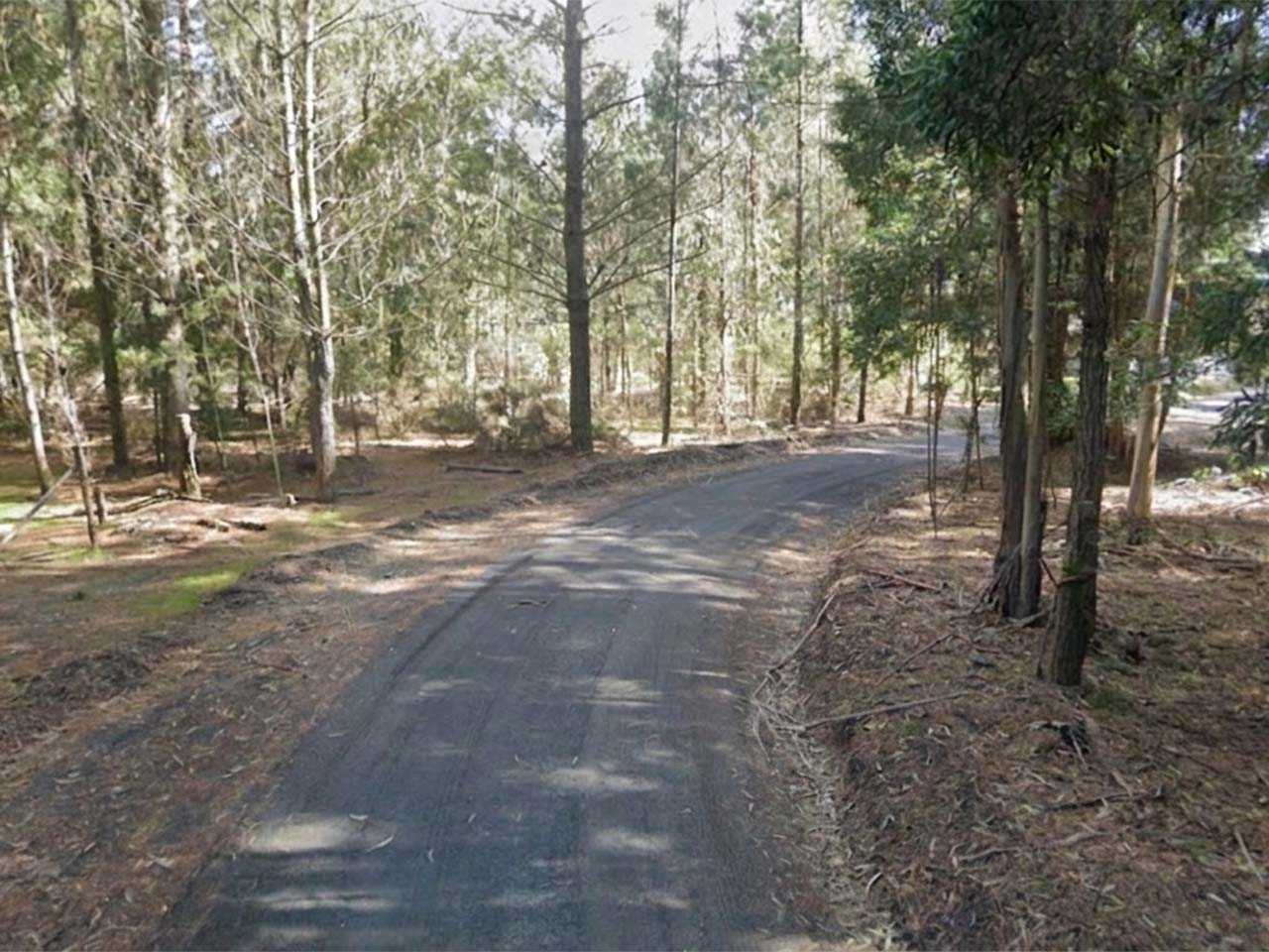 Predio Santa Doris, Camino Cabrero KM 12 - Imagen 5