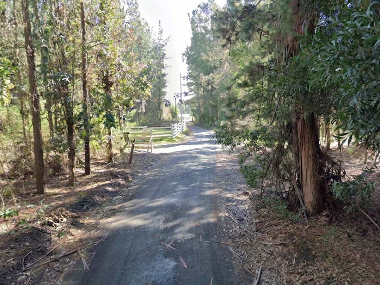 Predio Santa Doris, Camino Cabrero KM 12 - Imagen 6