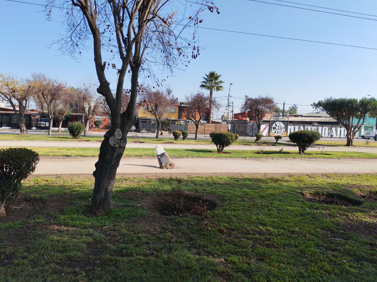 Av. Las Torres 716 - Imagen 8