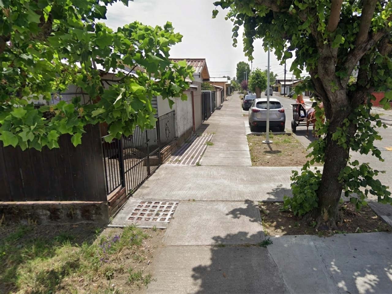 Los Tilos 363 - Imagen 3