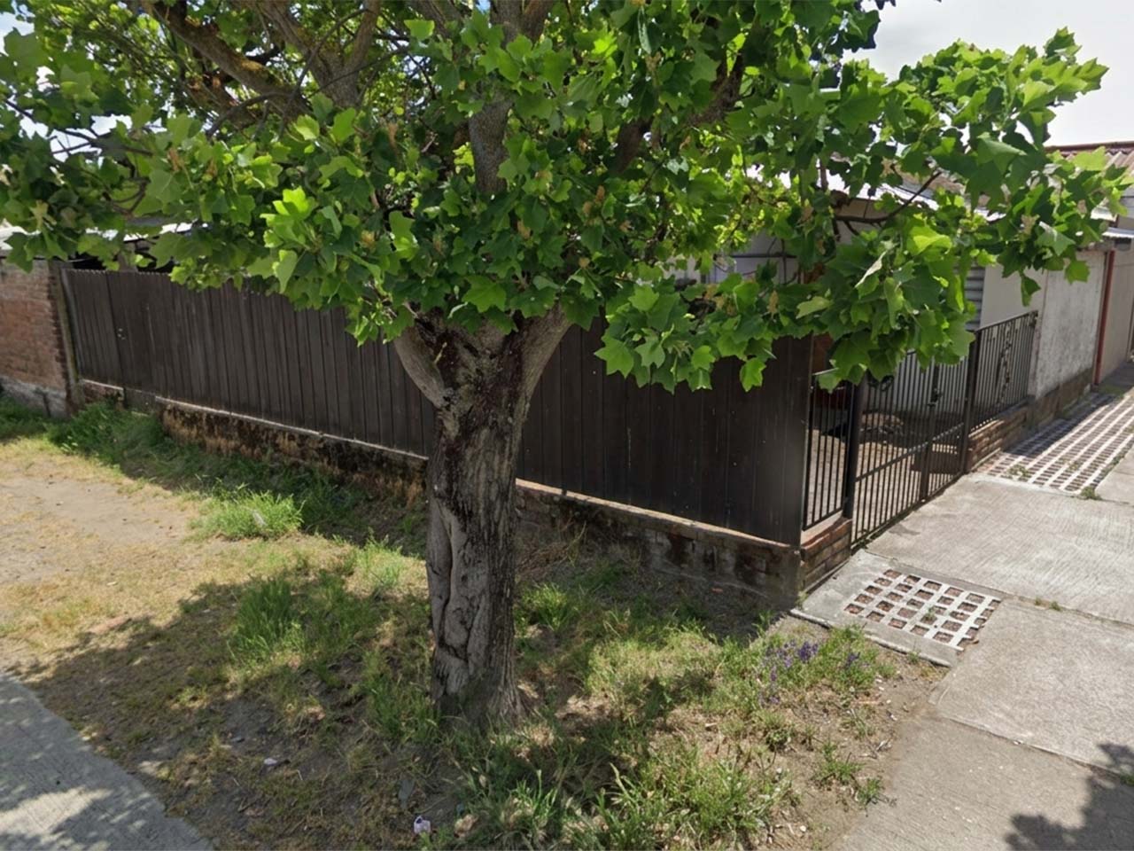 Los Tilos 363 - Imagen 2