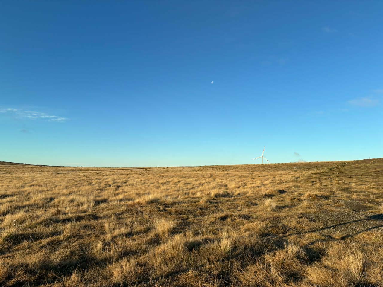 Cabo Negro, Lote C Uno - 127 - Imagen 9