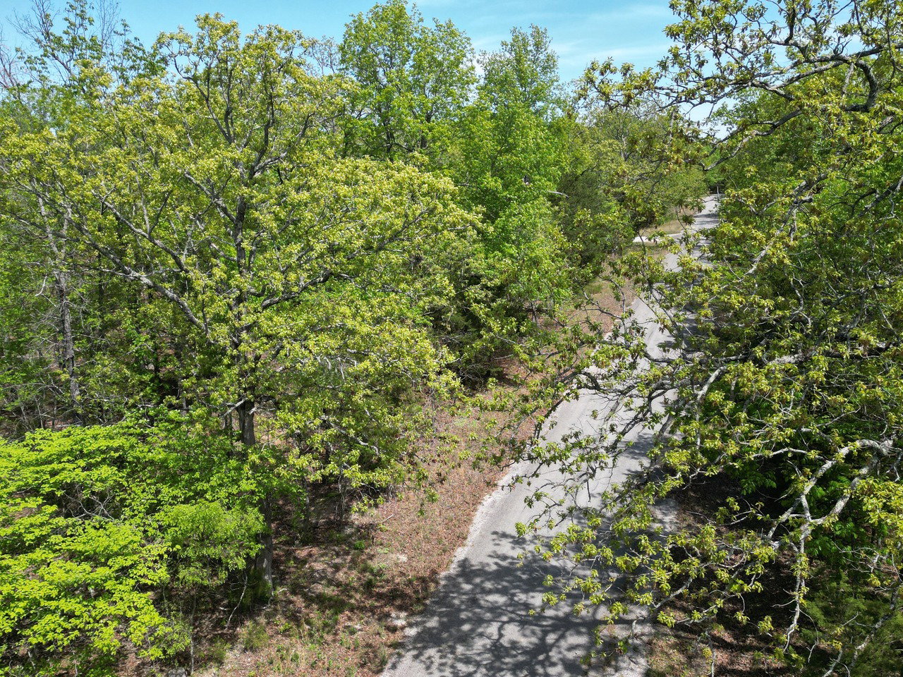 1702 S Plateau Drive, Horseshoe Bend, AR 72512 - Imagen 7