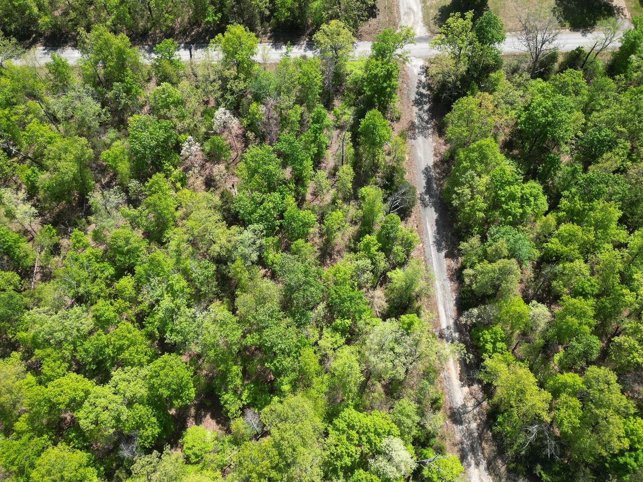 1702 S Plateau Drive, Horseshoe Bend, AR 72512 - Imagen 2