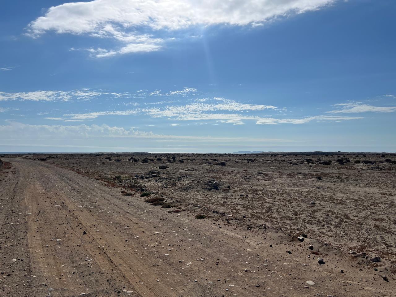 Fundo California, Parcela 48 - Imagen 2