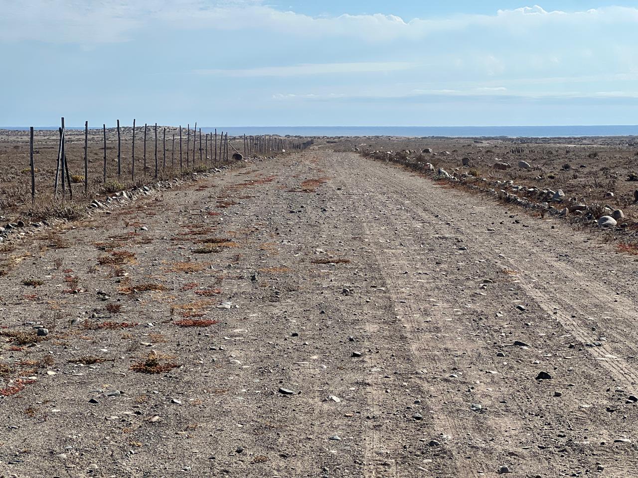 Fundo California, Parcela 48 - Imagen 5