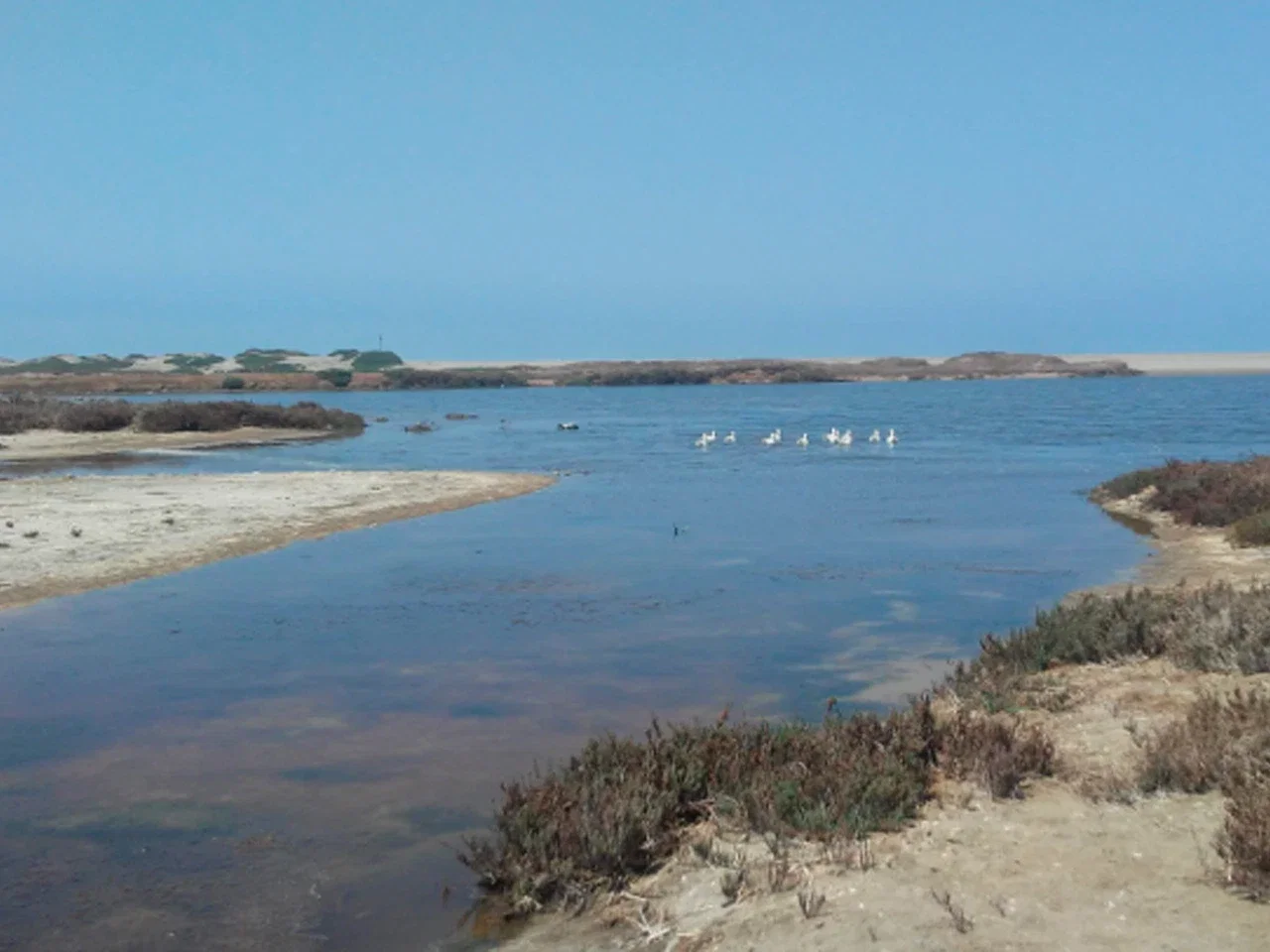 Fundo California, Parcela 48 - Imagen 6