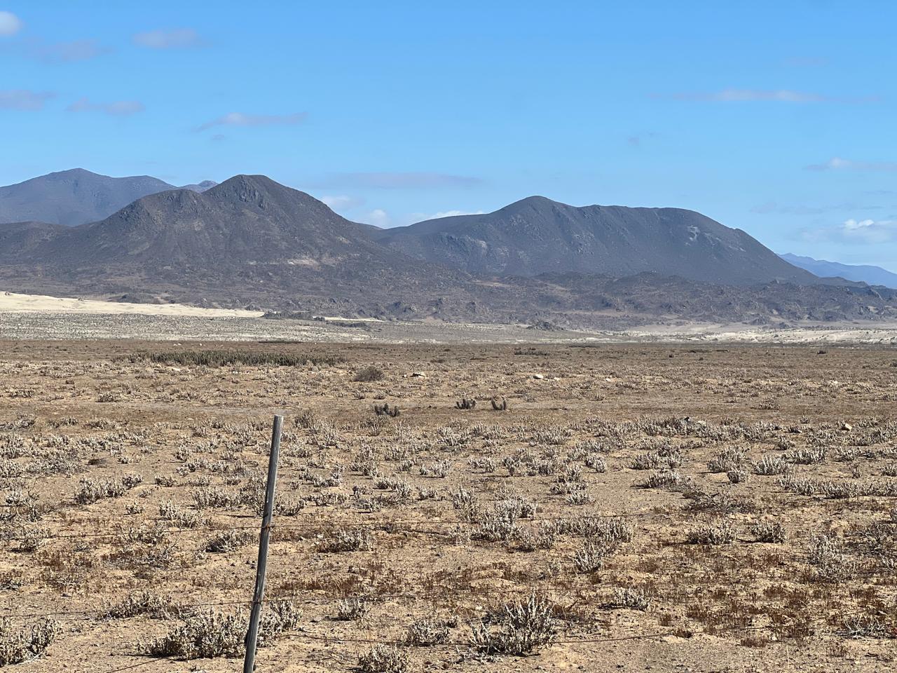 Fundo California, Parcela 48 - Imagen 7