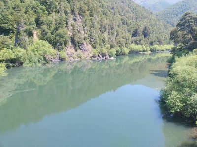 Lonquimay, Parcela 41