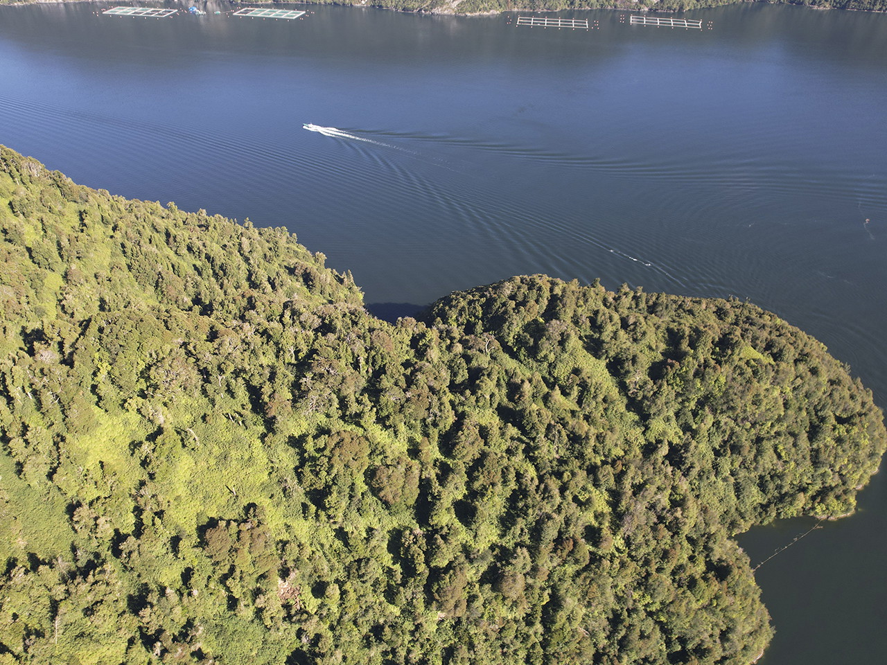 Costa Patagonia, Parcela OM24 - Imagen 2