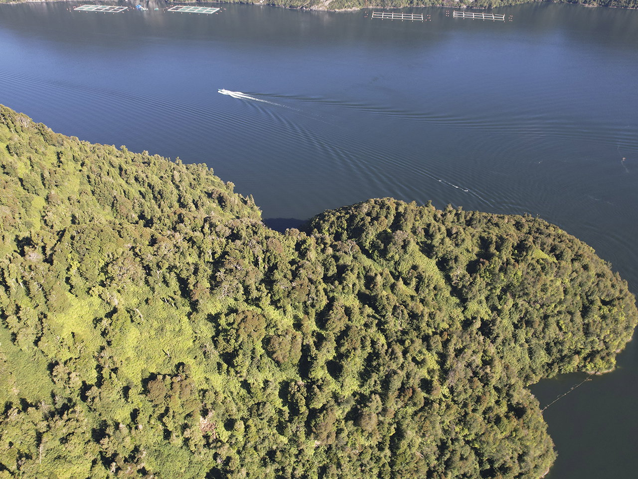 Costa Patagonia, Parcela OM24 - Imagen 2