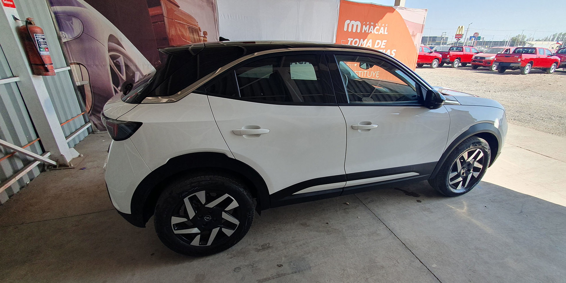 Miniatura 8