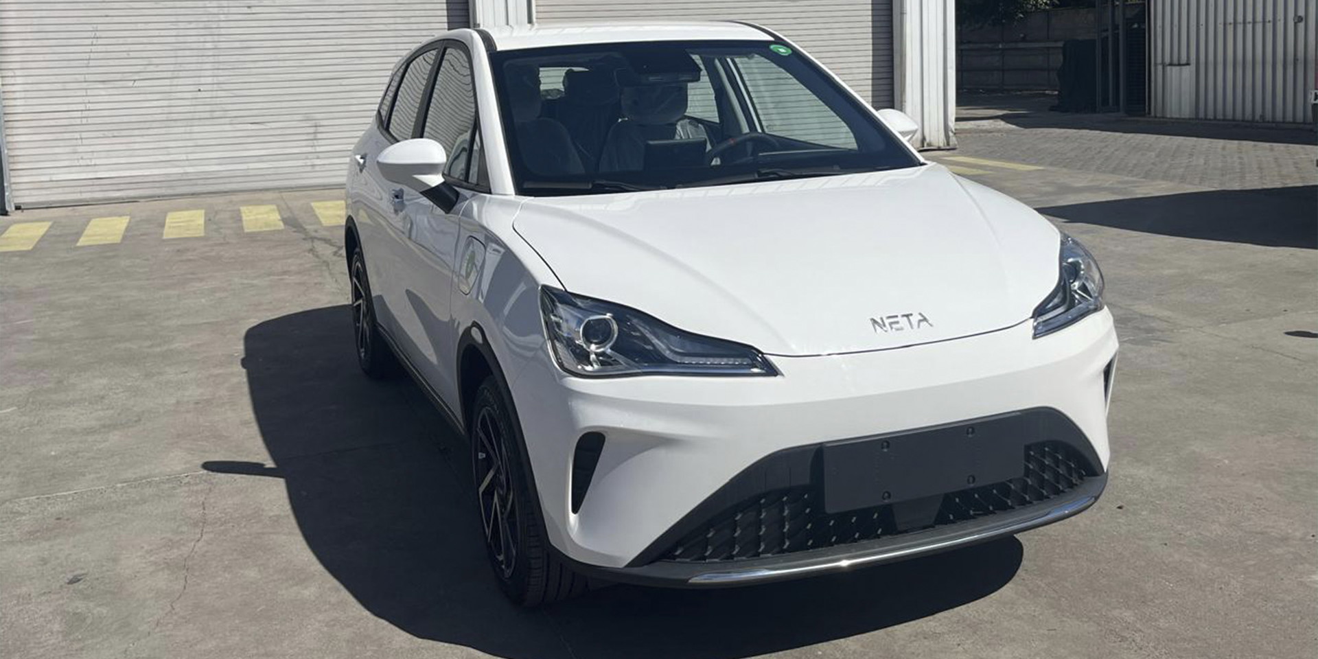 NETA AYA - Imagen 2