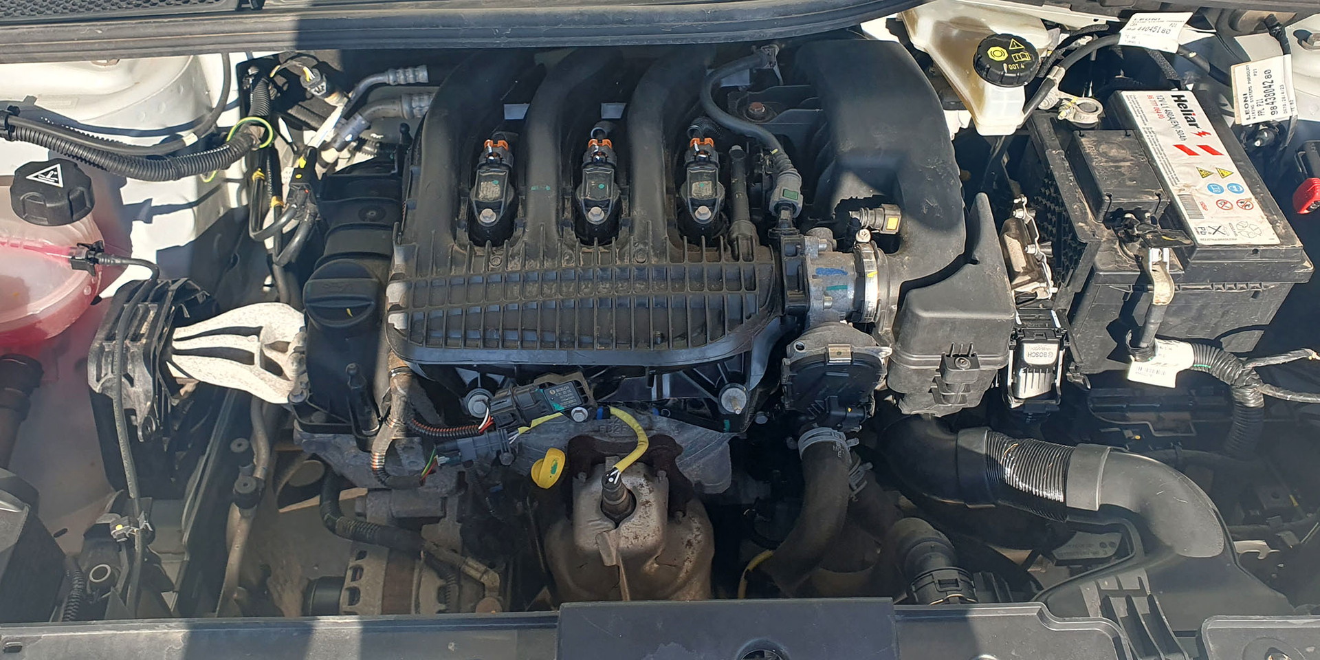 Miniatura 13