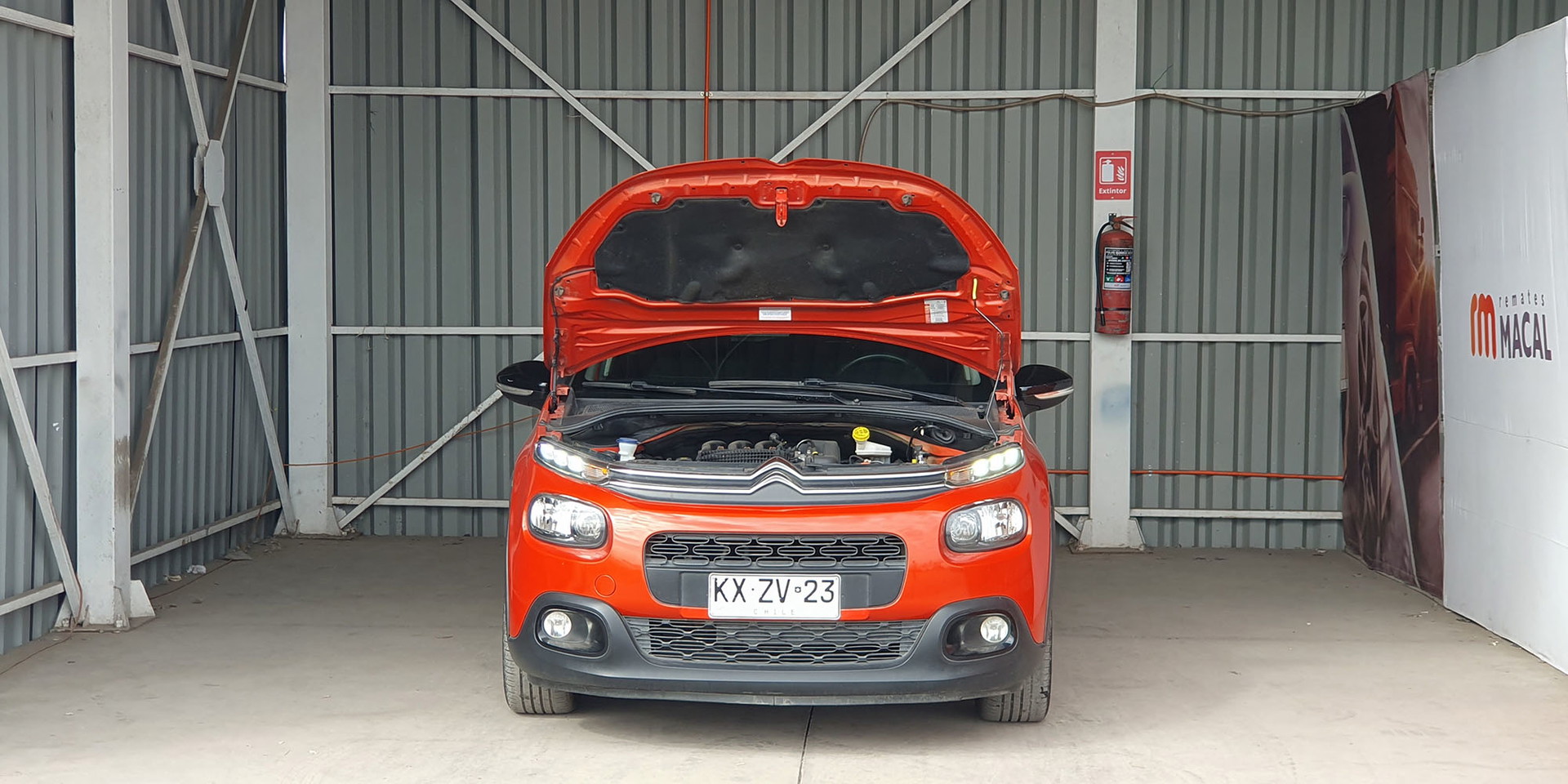 Miniatura 12