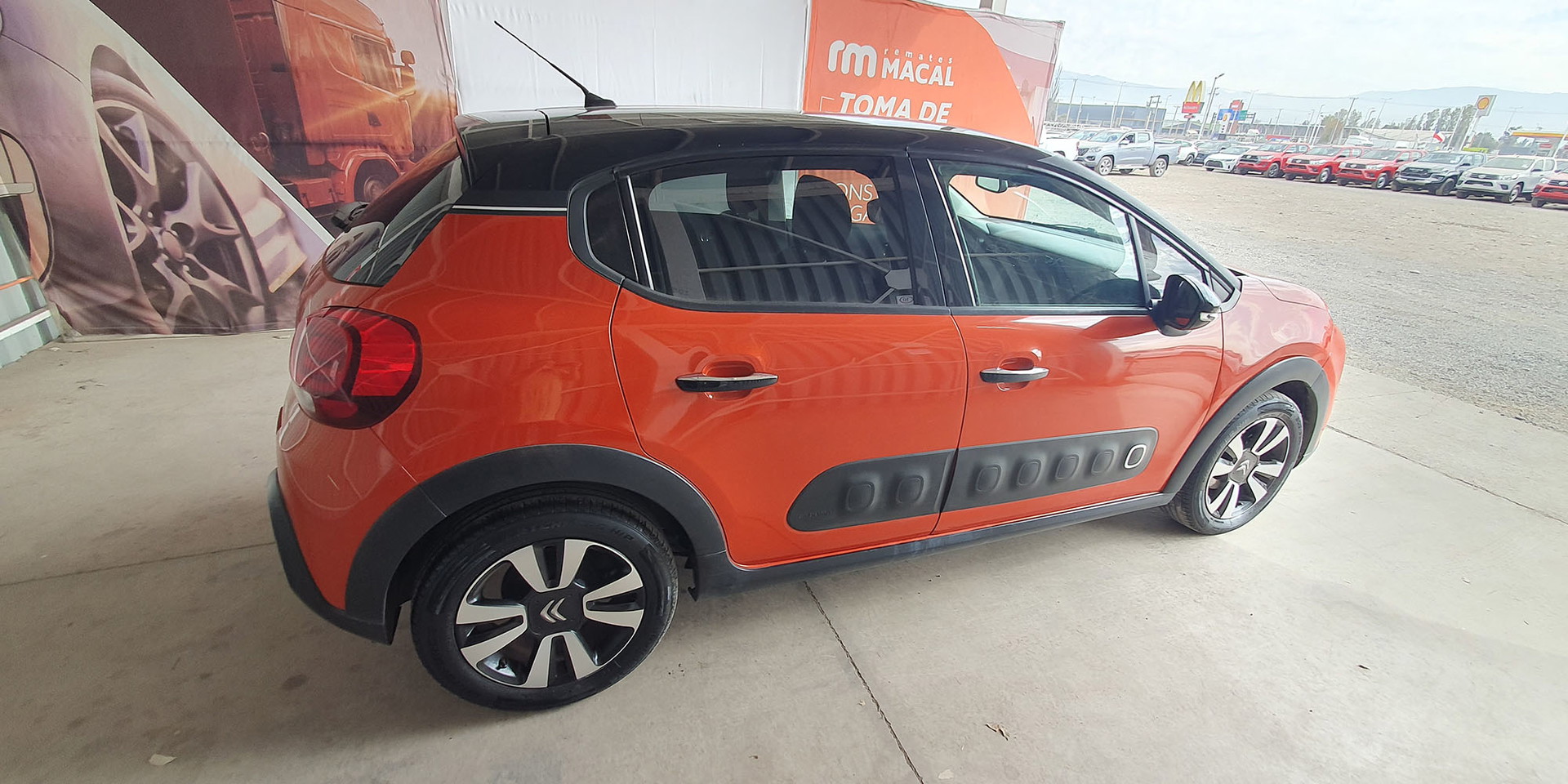 Miniatura 8