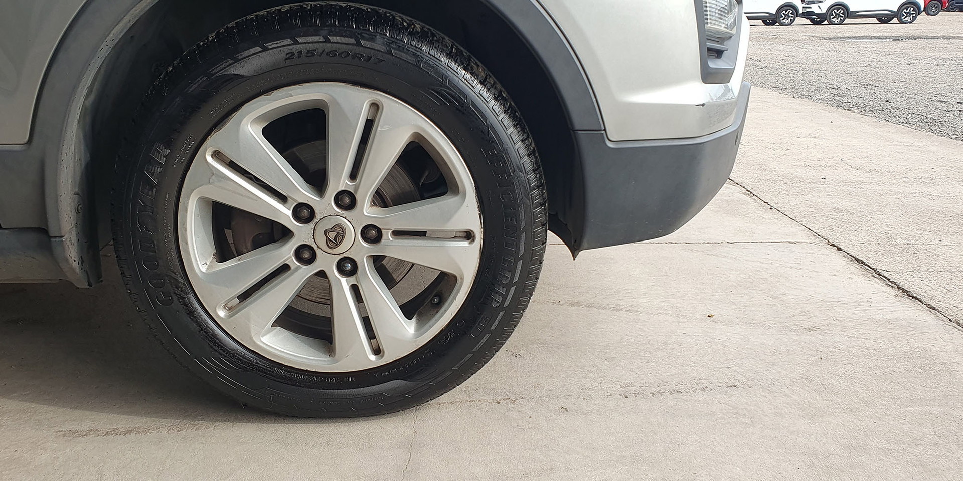 Miniatura 14