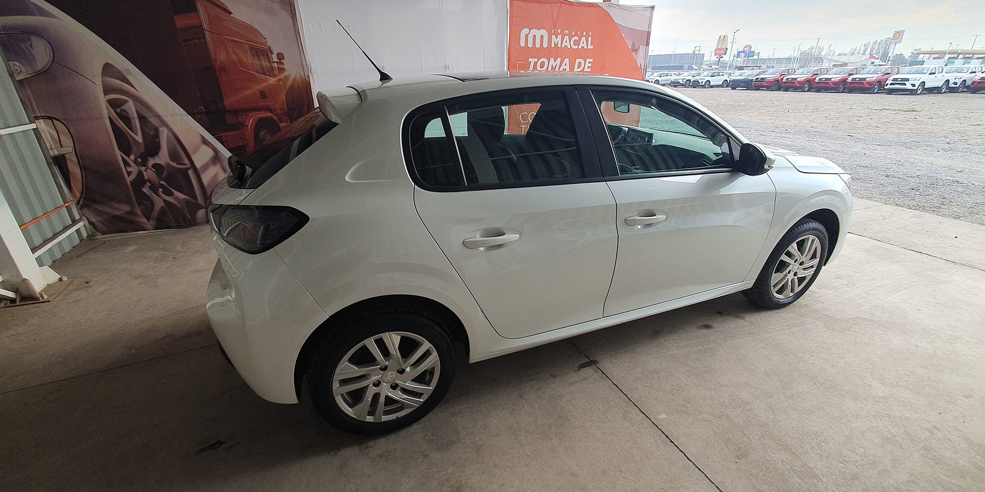 Miniatura 8