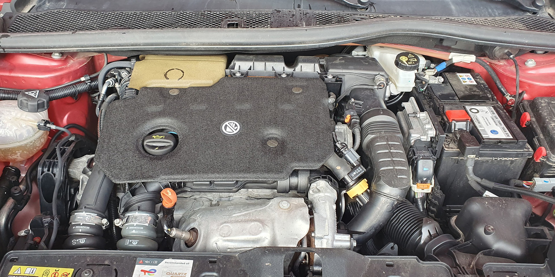 Miniatura 13