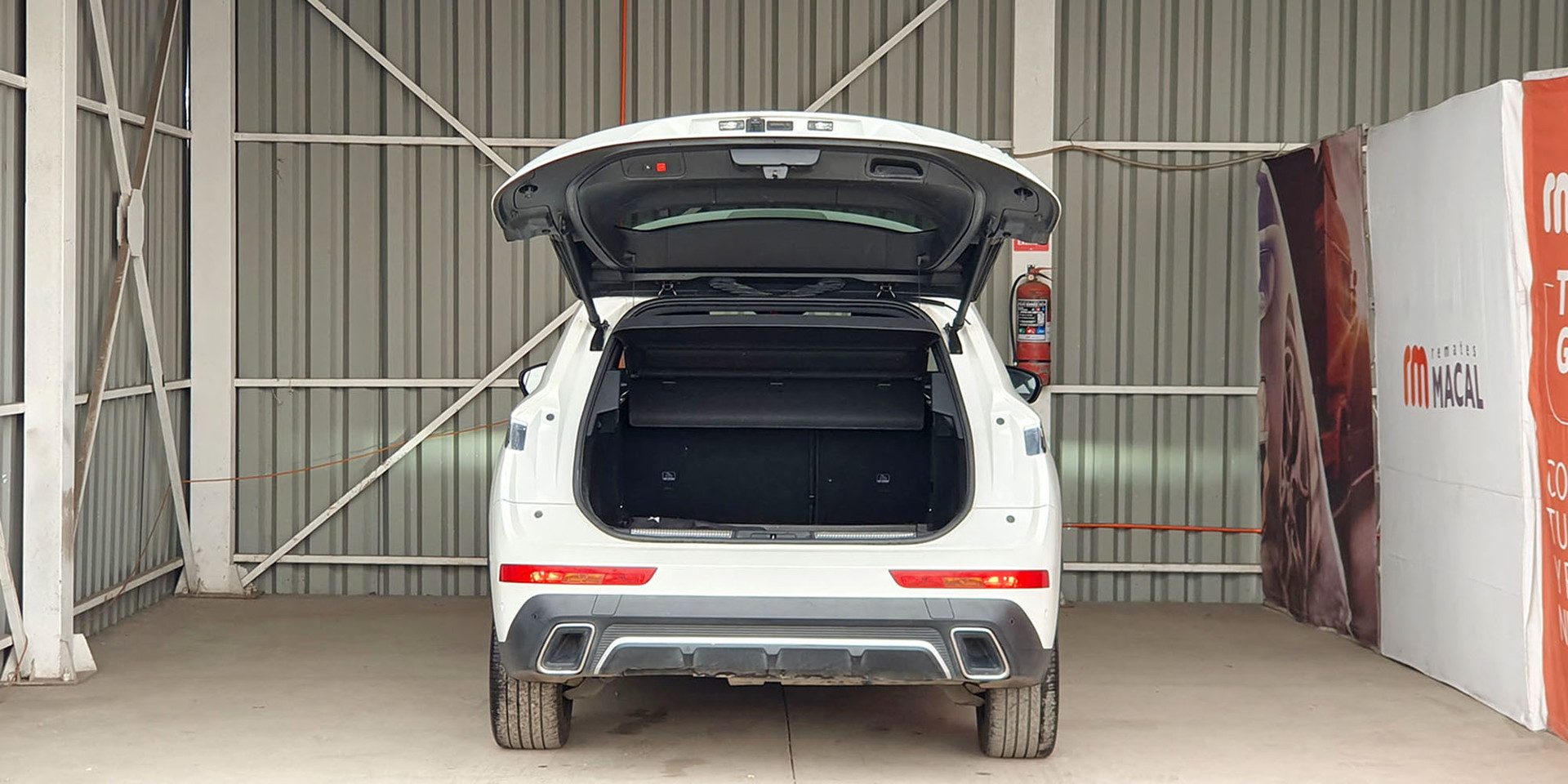 Miniatura 10