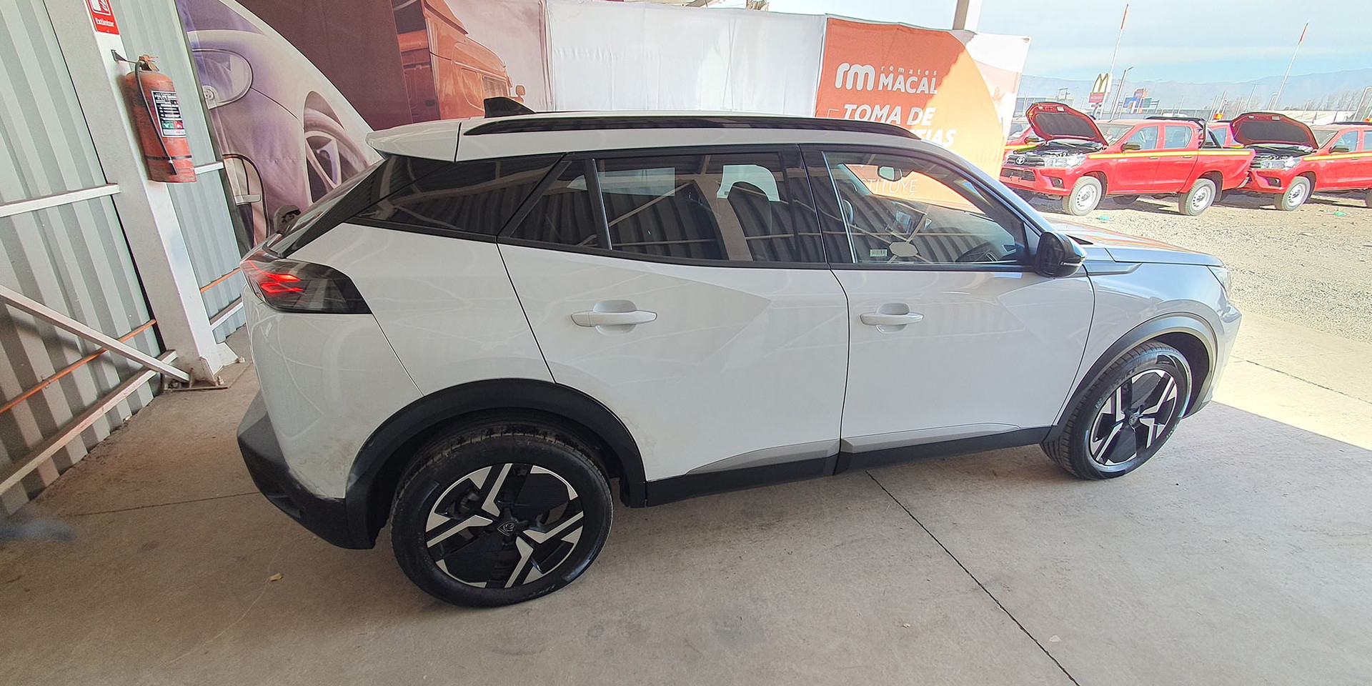 Miniatura 8