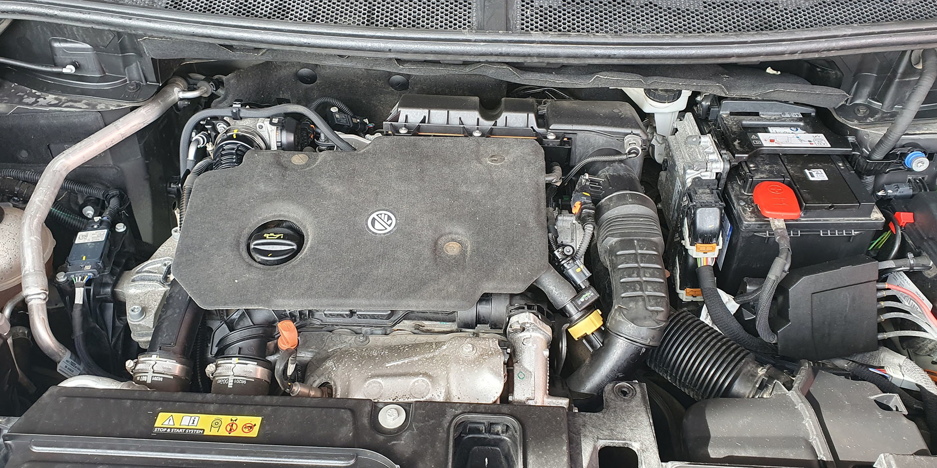 Miniatura 13
